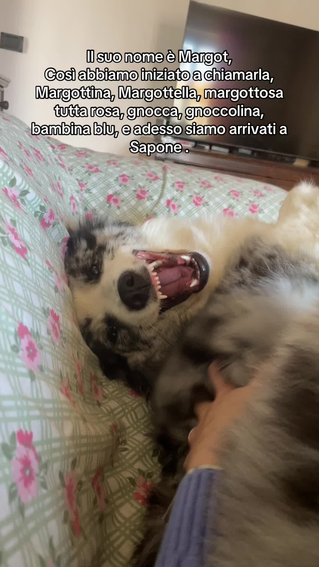 @Çöra Måzzägāttį