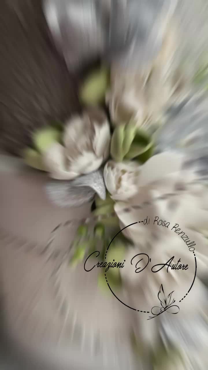 @Rosa Renzullo