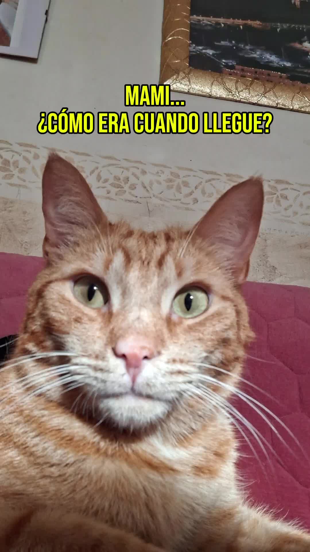 @Ida Cozzolino