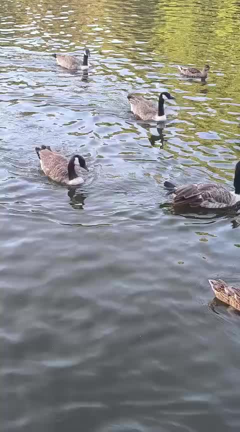 @Animal & Nature Lovers