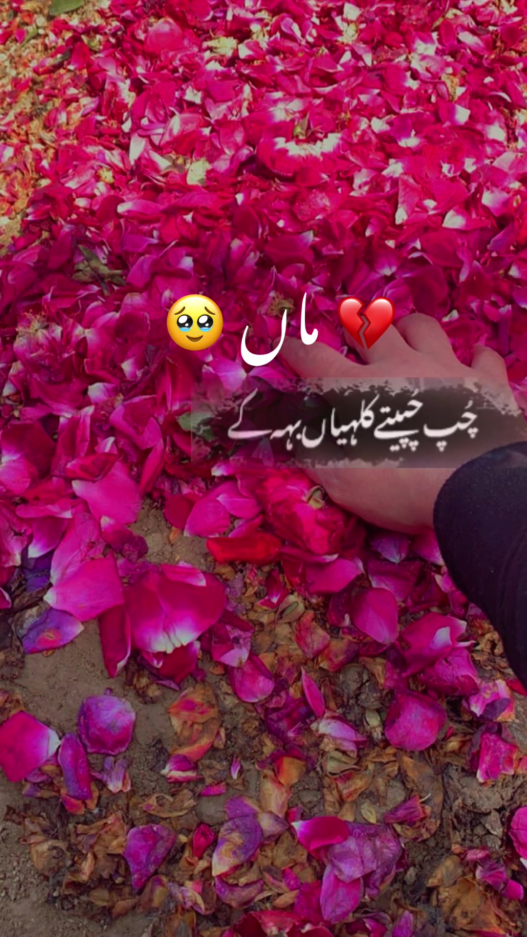 @MIRZA͜͡