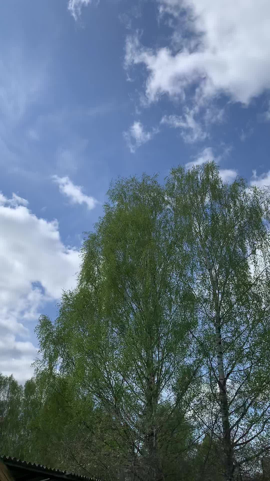 @Tanel ja Kaisa
