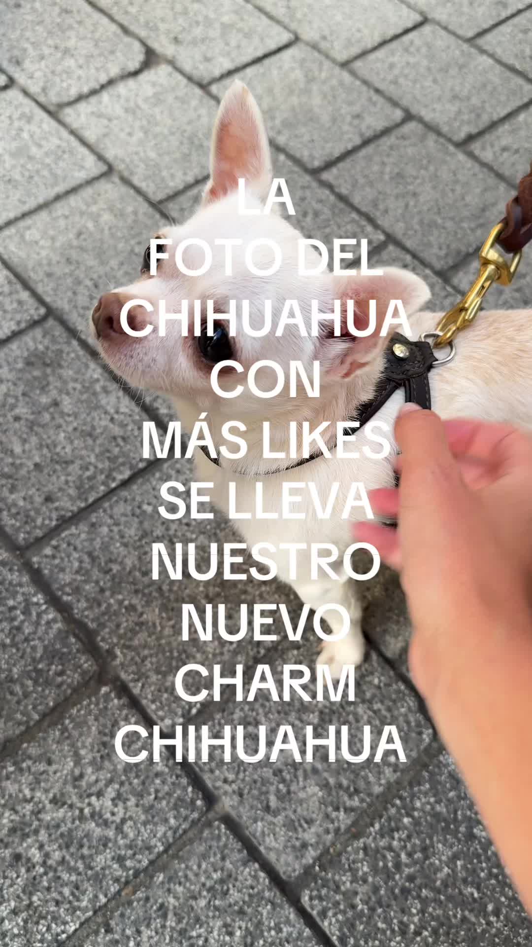 @Singularu