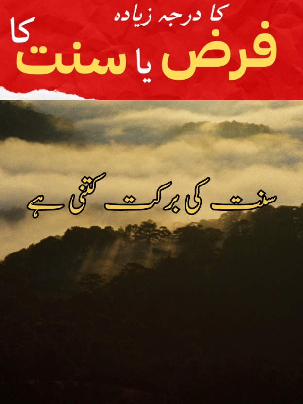 @Noor e sehar