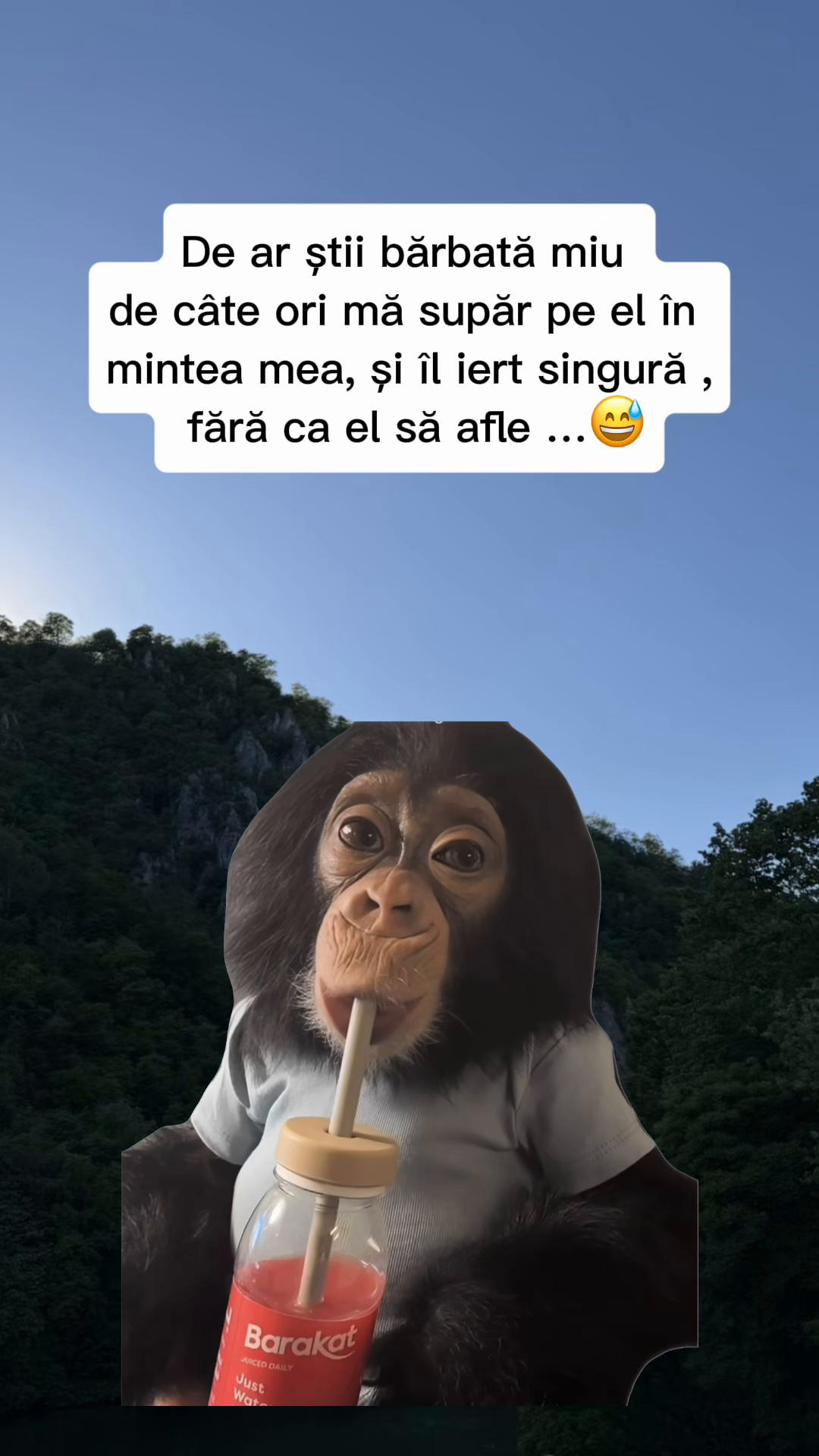@Sara Ionela