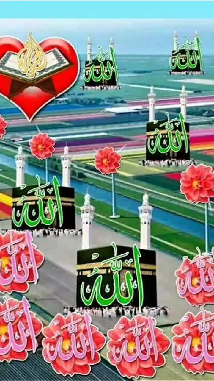 @Alsibajawaid UK🇬🇧🙏 🇵🇰