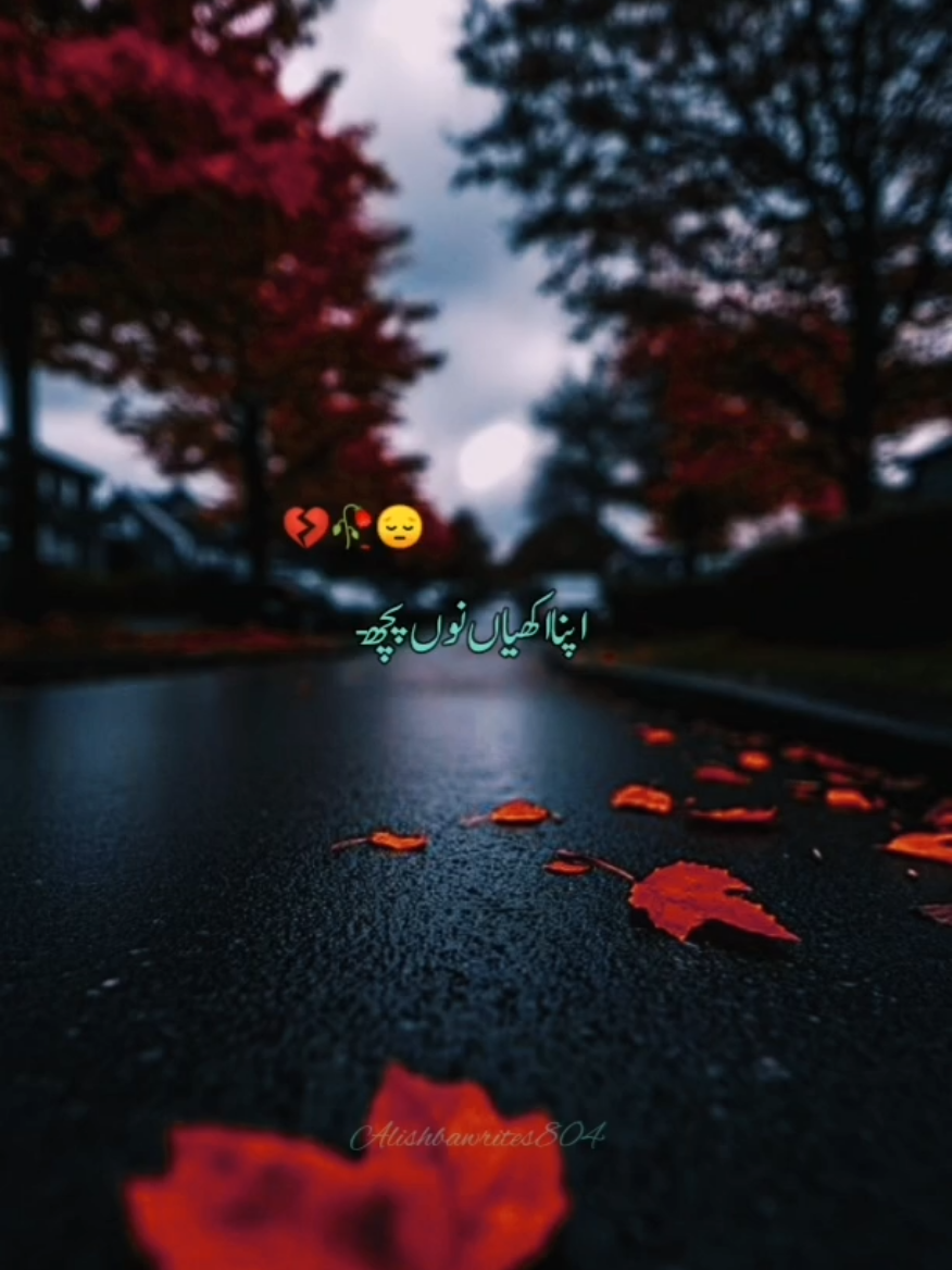 @alishbawrites804