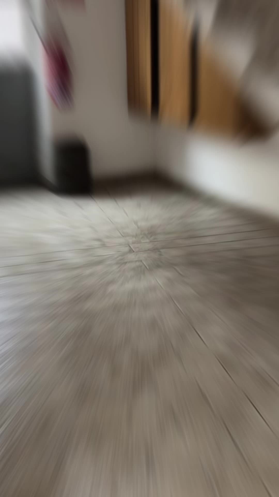 @Luca Maggio