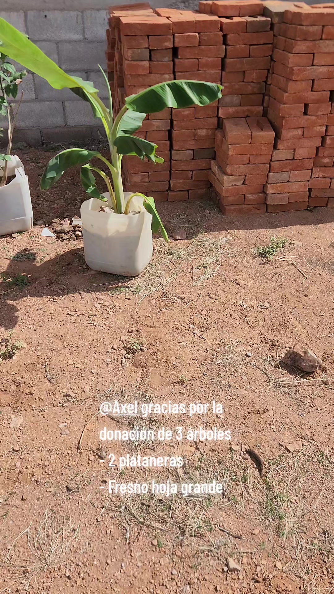 @El De La 450 Negra
