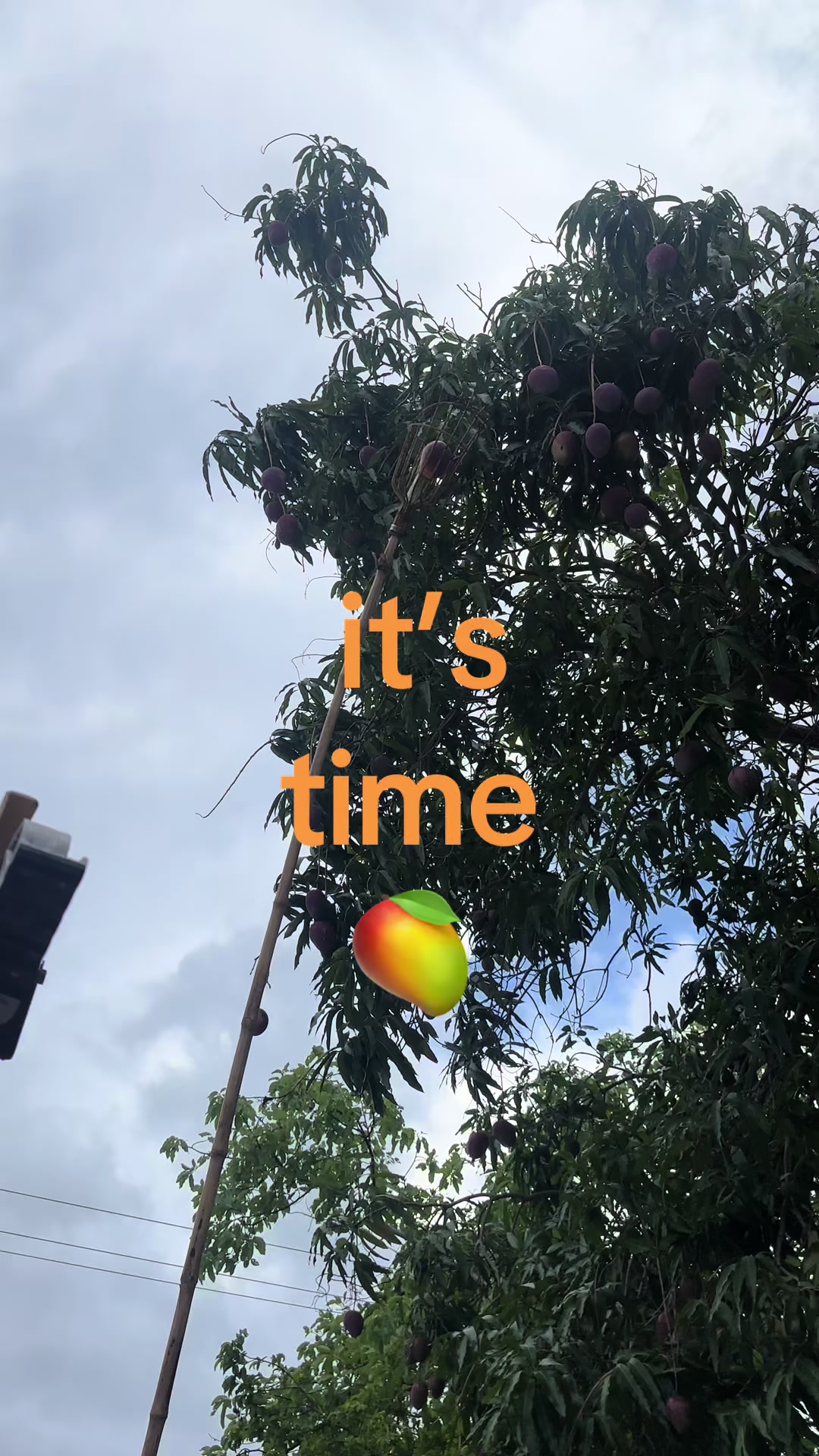 @feliz