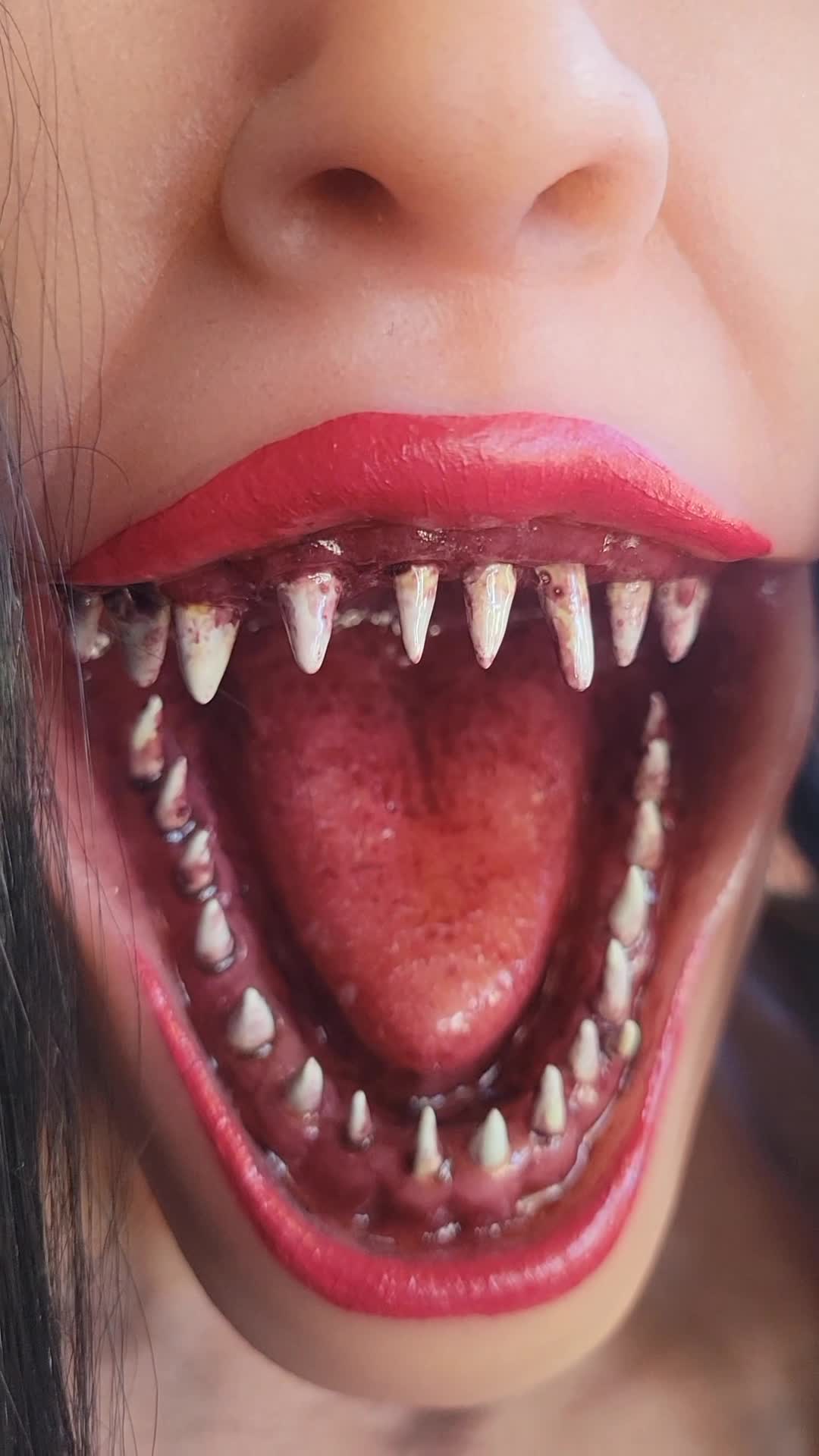 @tripoutstories