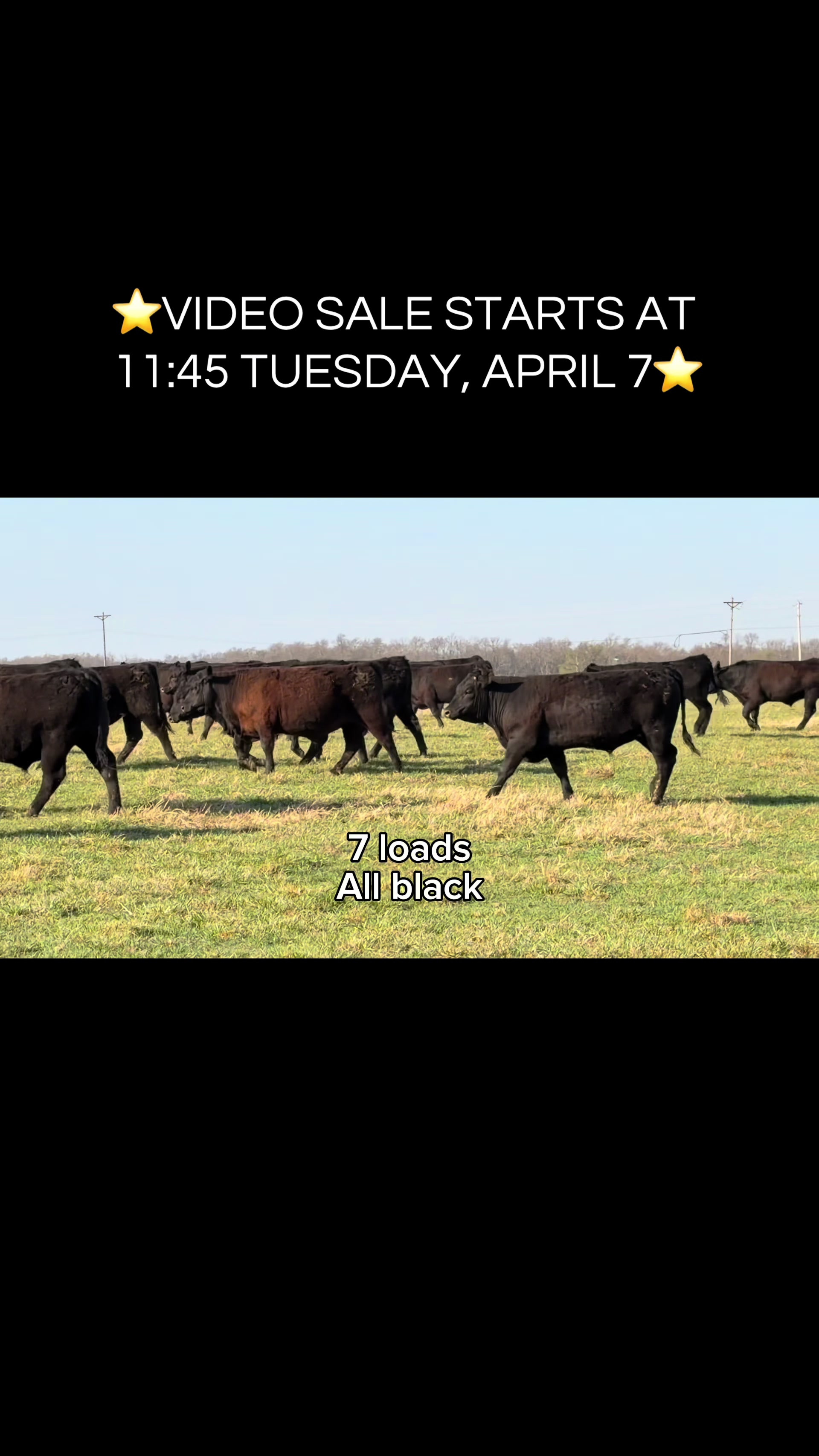 @Welch Stockyards