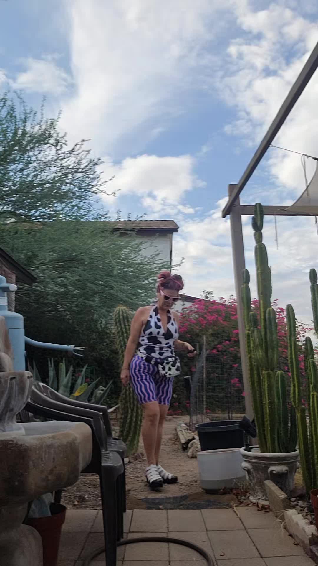 @cactifam