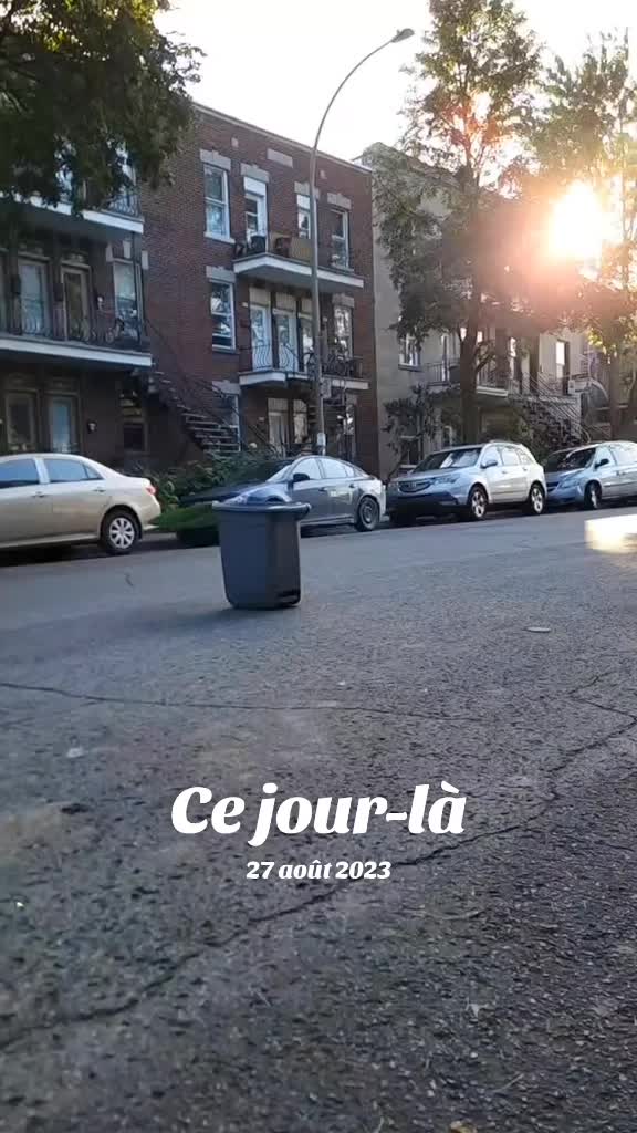 @wonderbobberquebec