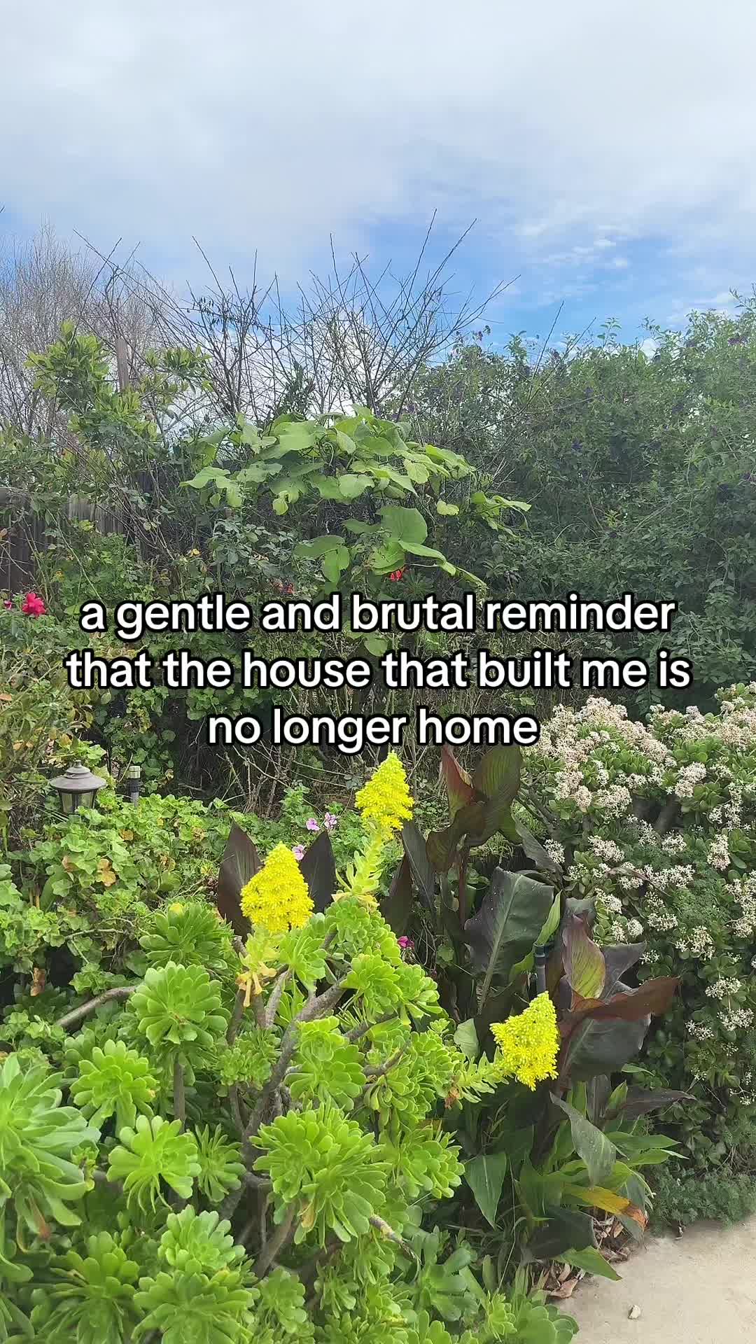 @isa