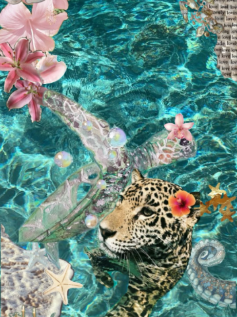 @𓂅𓍼𝒵𝒶𝓎’𝓈 𝓋𝓁𝑜𝑔𝓈𓍼 🪼