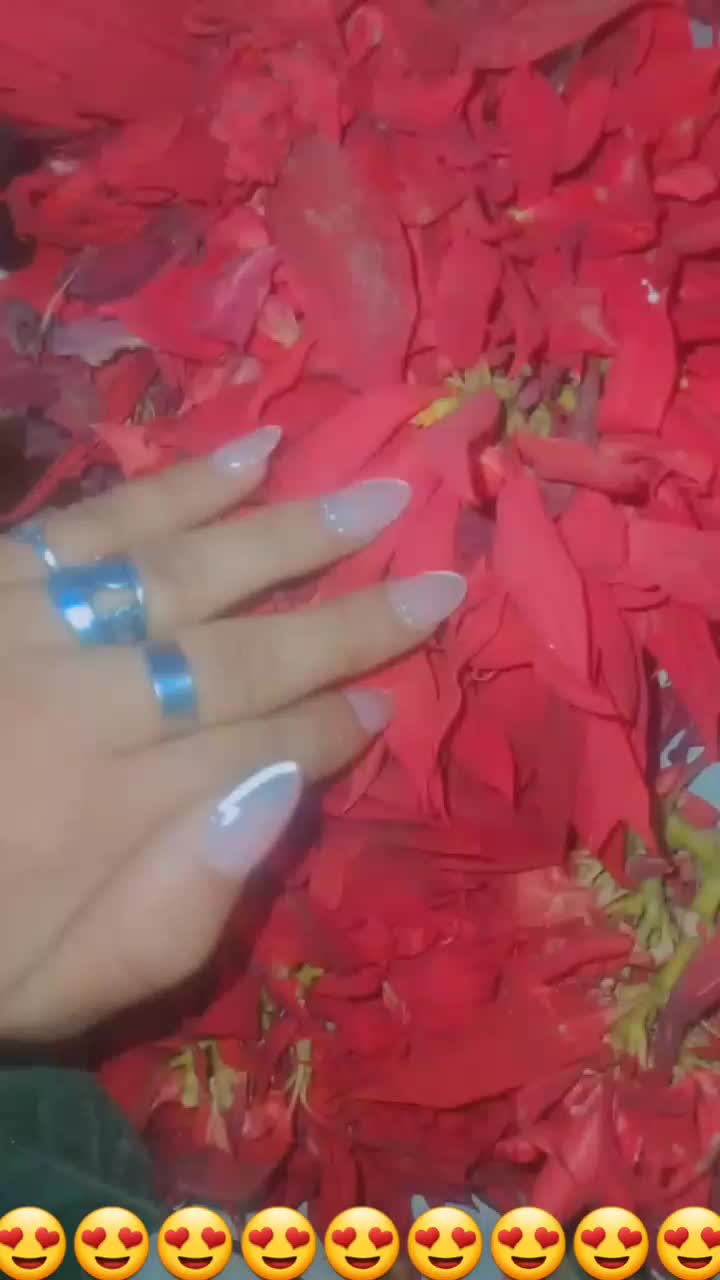 @tiziana