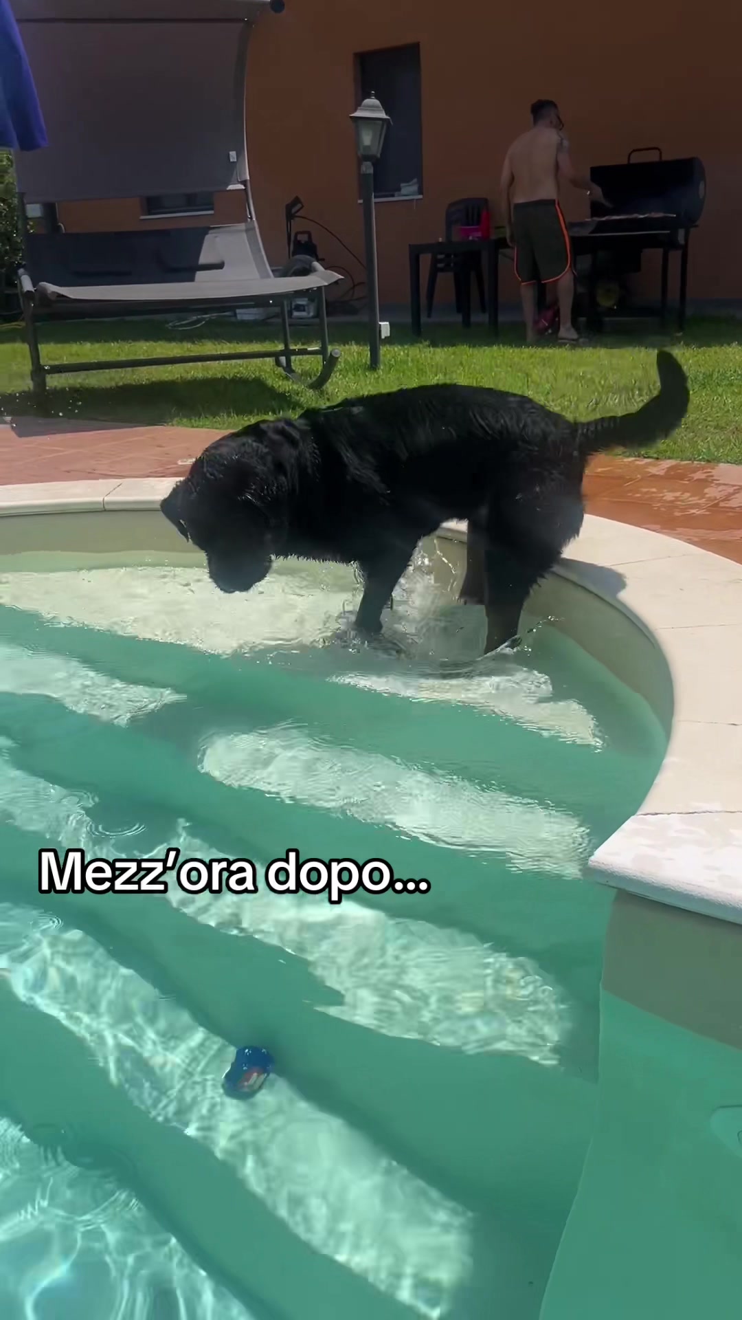 @Tutti pazzi per Ciro il rott