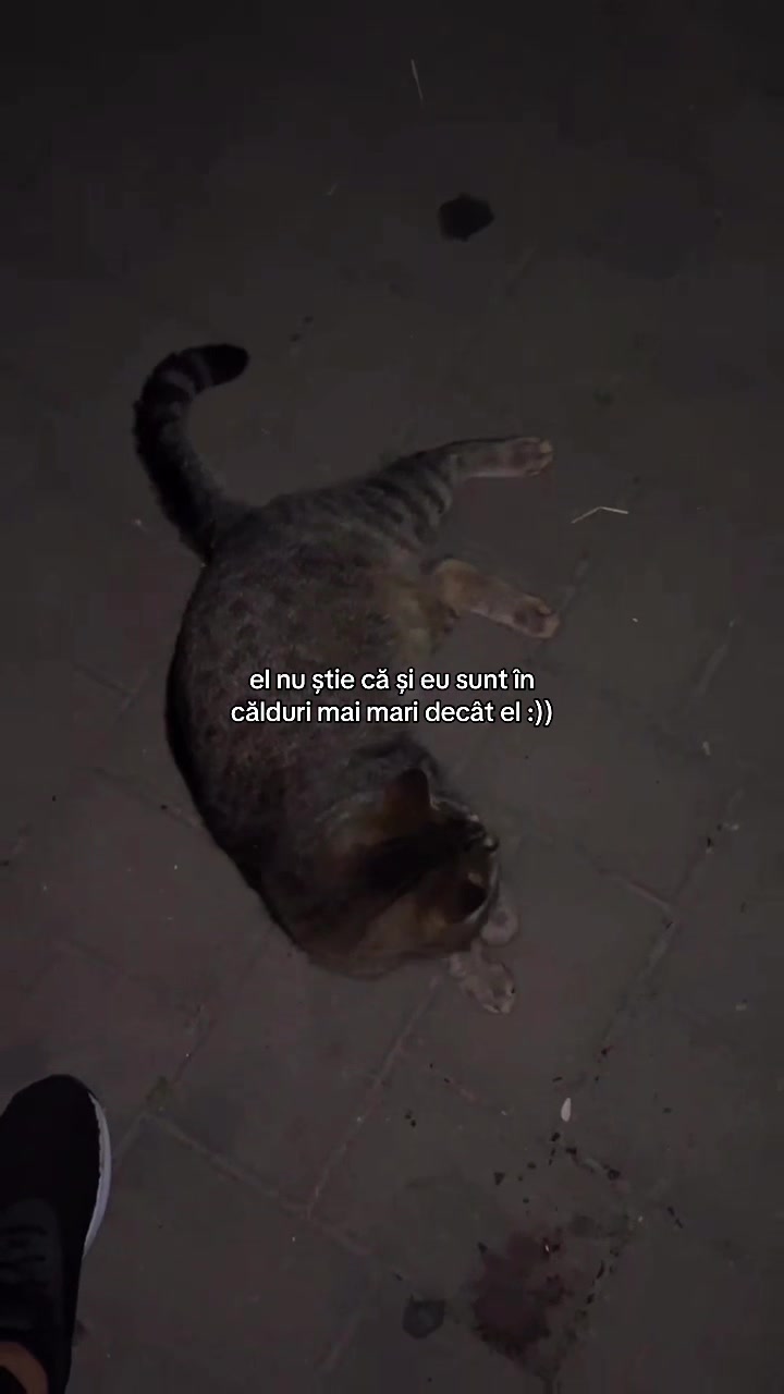@𝐒