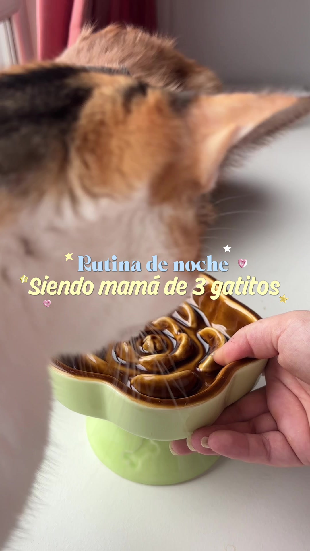 @- Alejandra 🐱💕