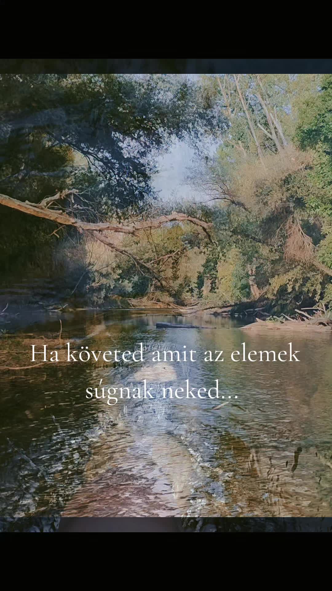 @✨𝓥𝓮𝓻𝓲𝓽𝓪 𝓓𝓸. ✨🪄