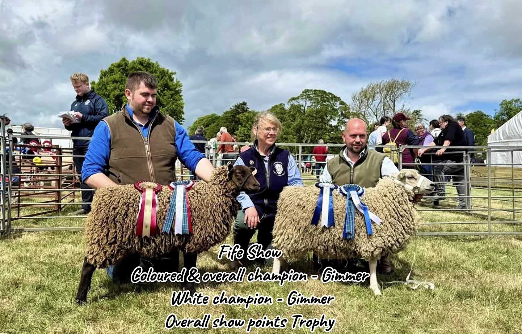 @Annavale&Biggarburn Shetlands