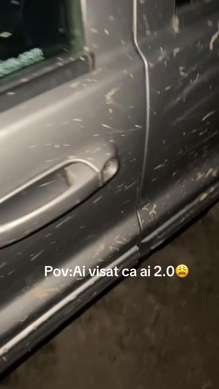@Zizu