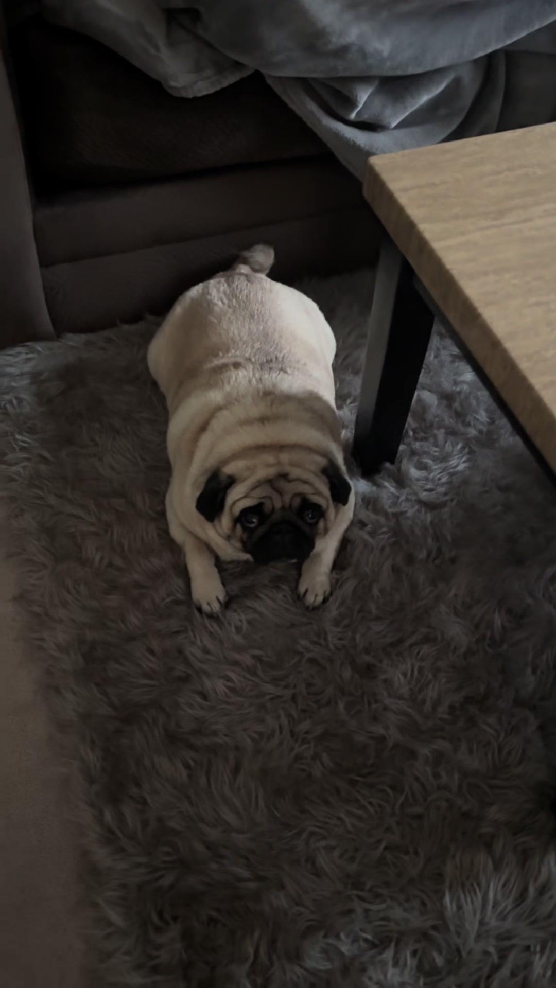 @PUGNAROUND