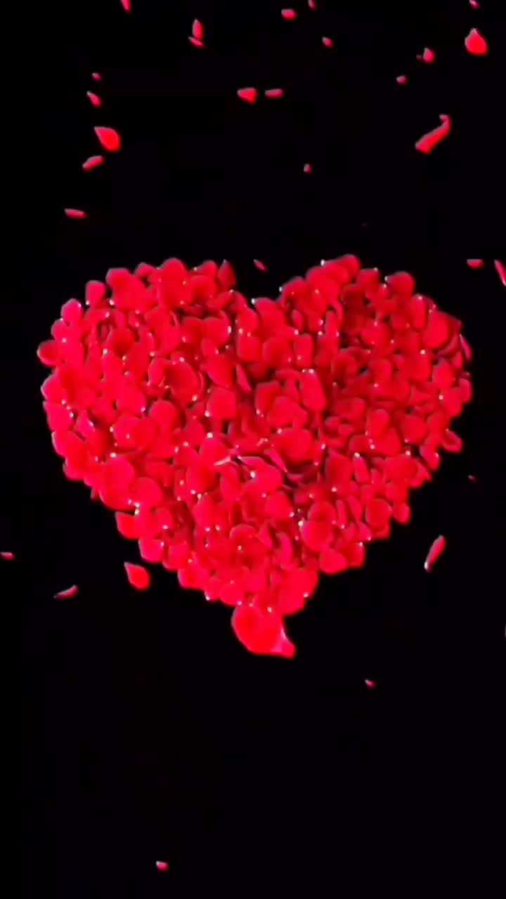 @Nadejda Jeleascov