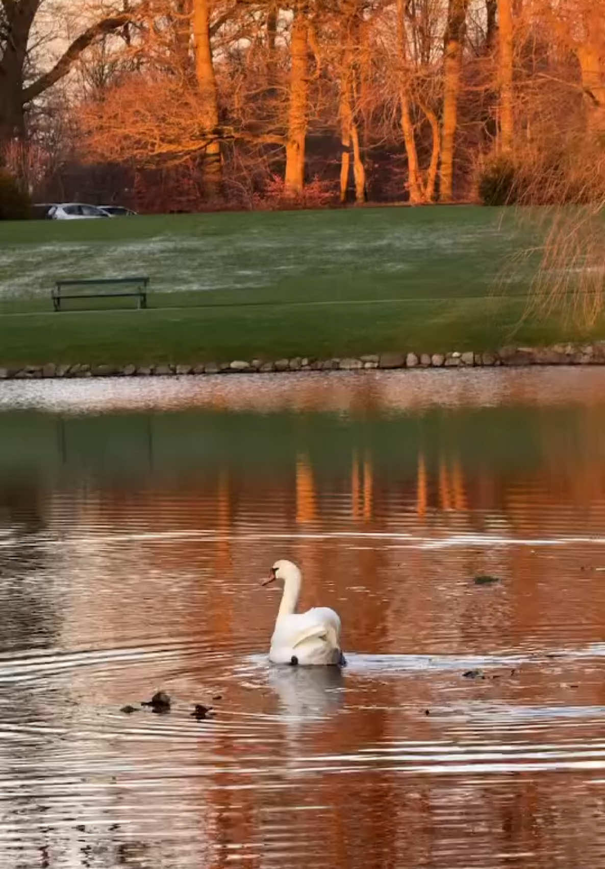 @Videos and photos of nature