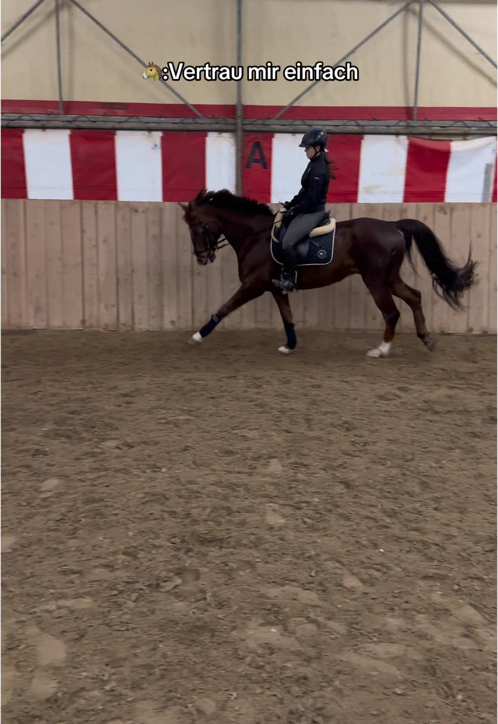 @sophietschi_x_equestrian