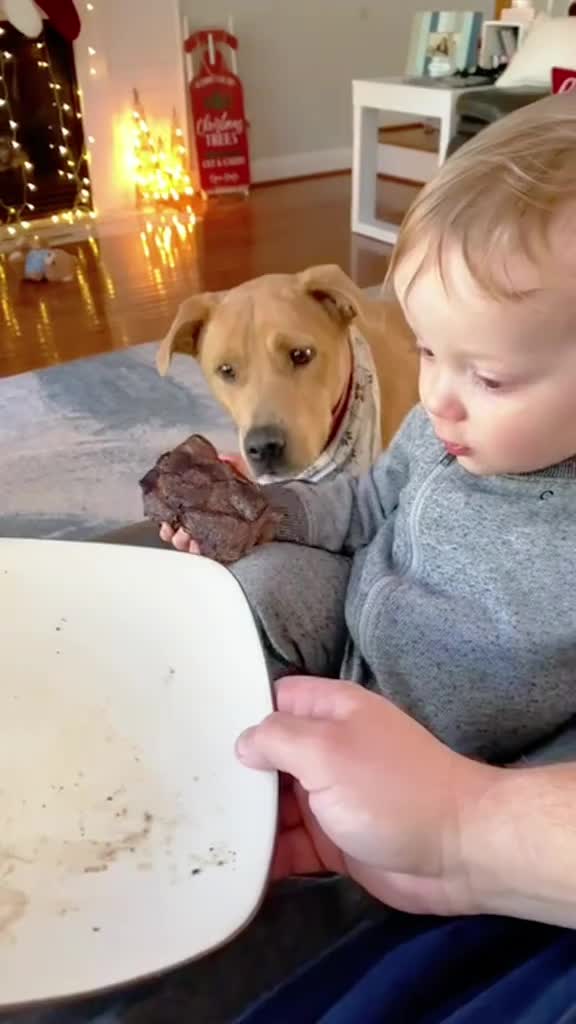 @Funny Cute