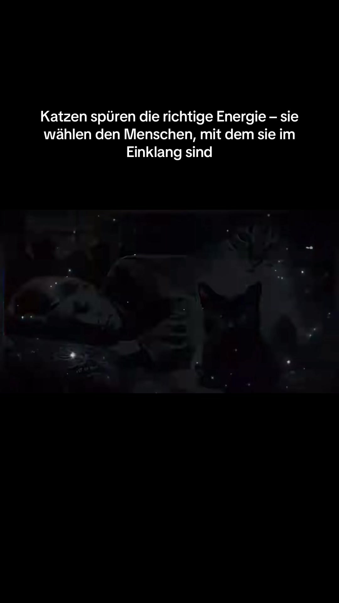 @blg8080