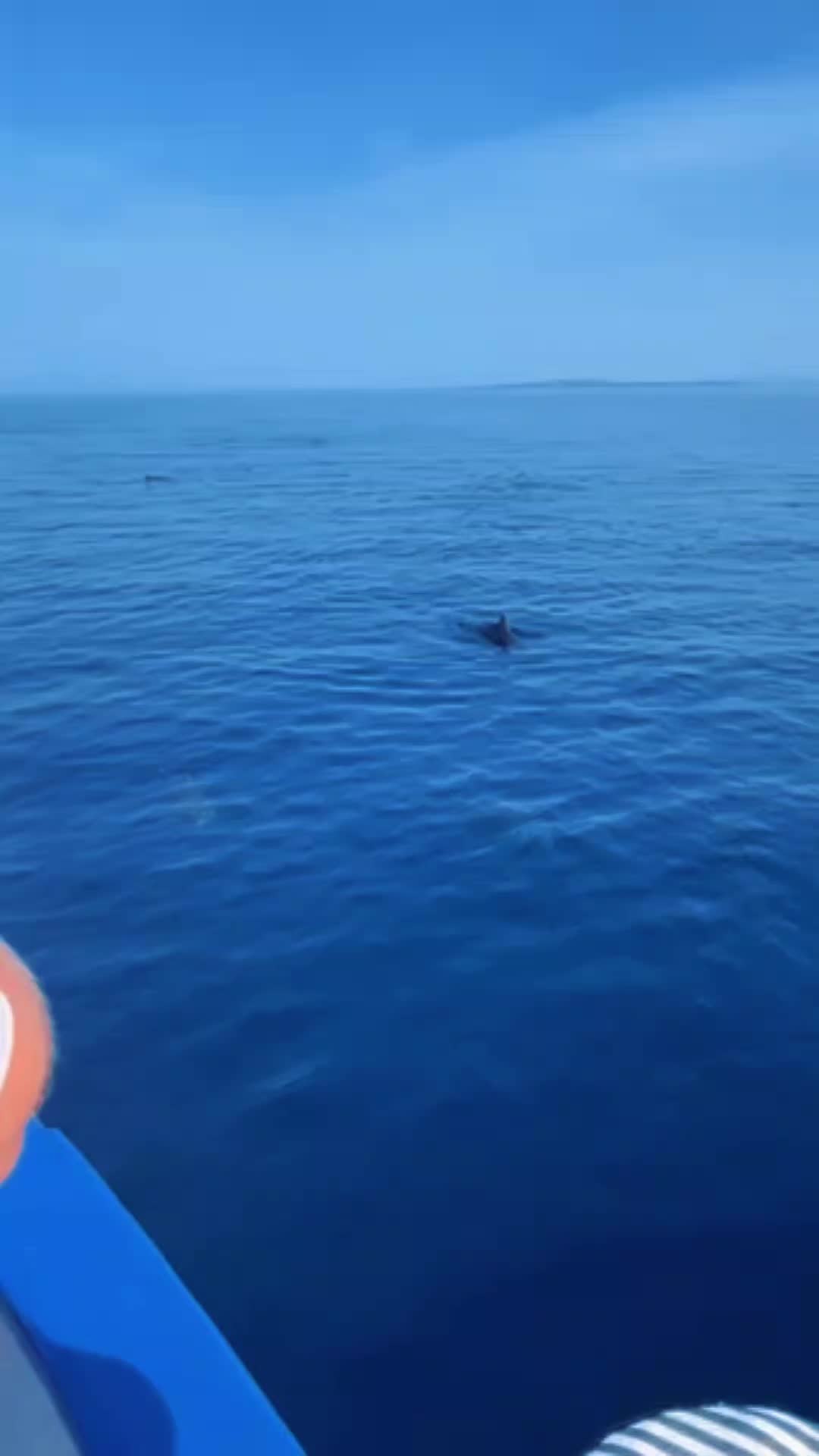 @Makovinyi Mih&aacute;ly✅️🎣🐟