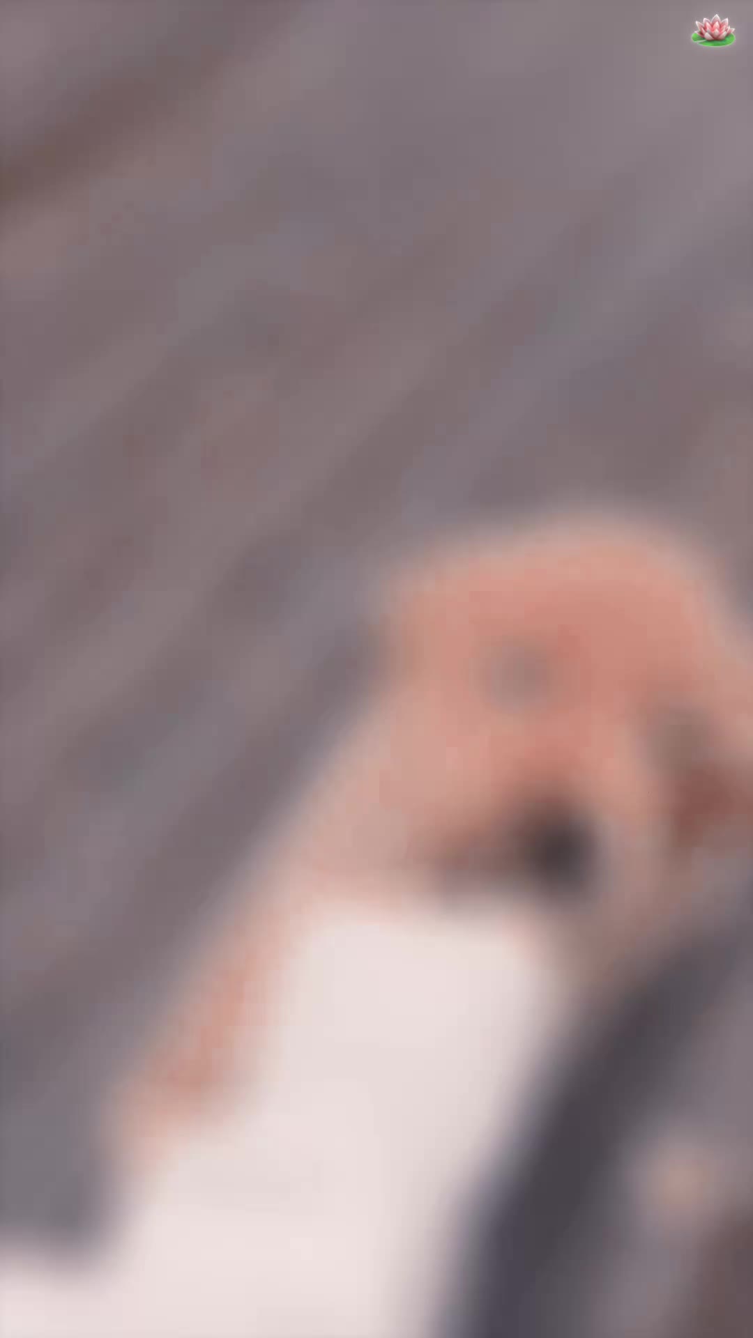 @˖˚៹✦ 𝐍𝐨𝐞!🪷 ˖ ࣪⤾