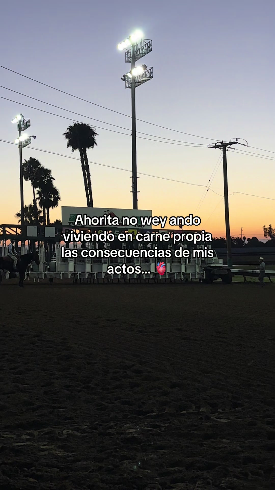 @oscar_sxt