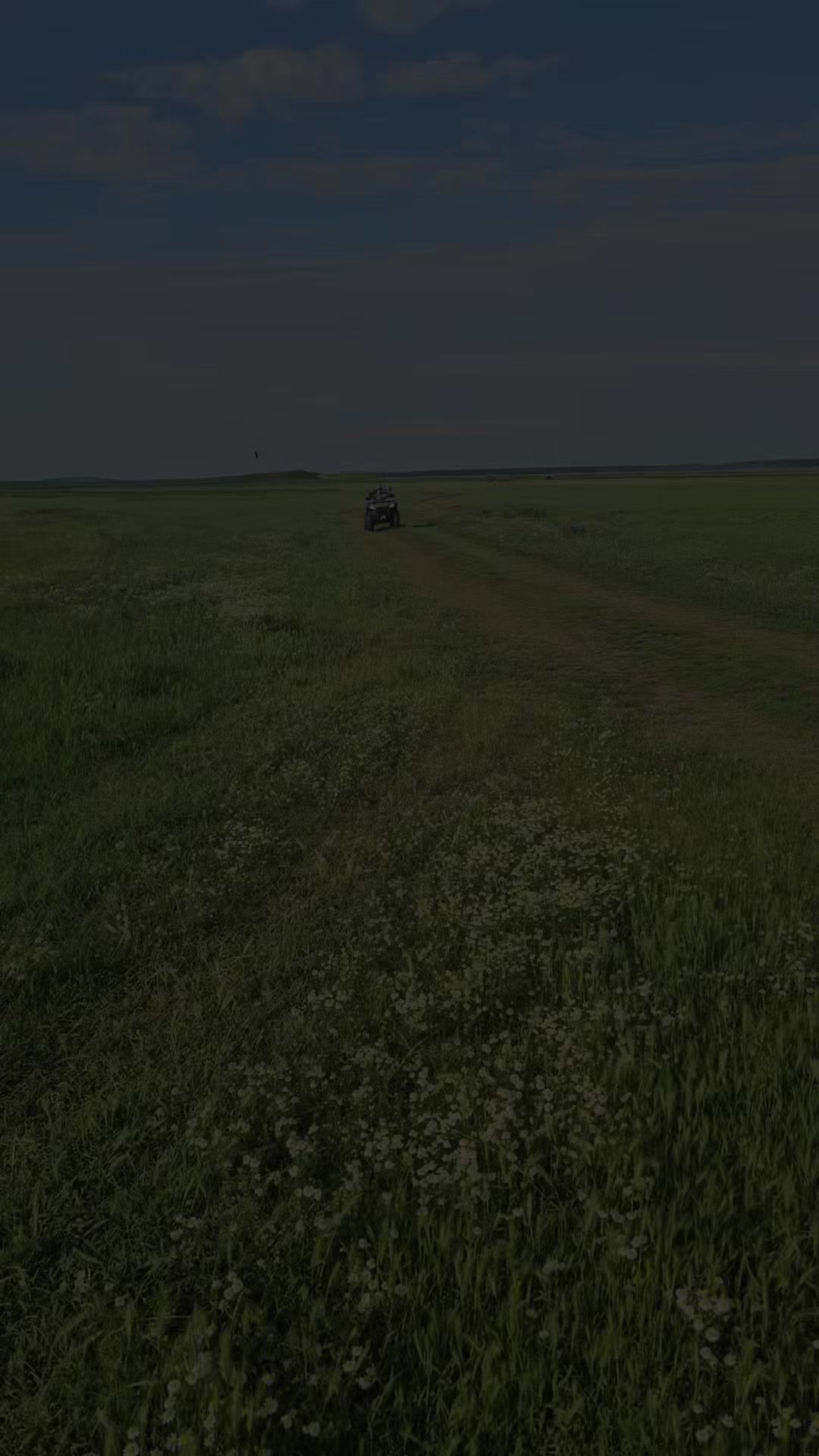 @👑Ionelanedelcu18👑