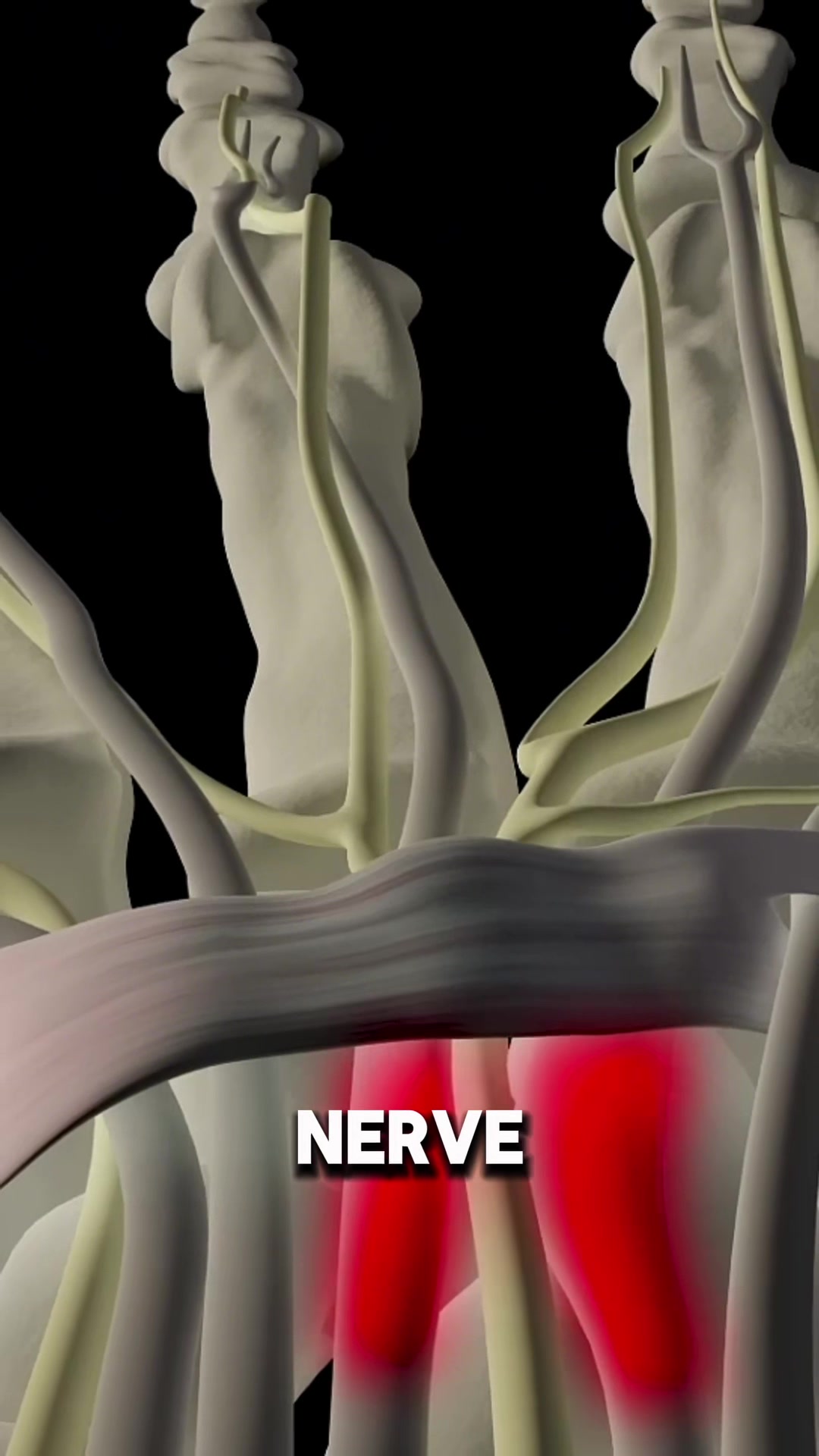 @wellness_labb