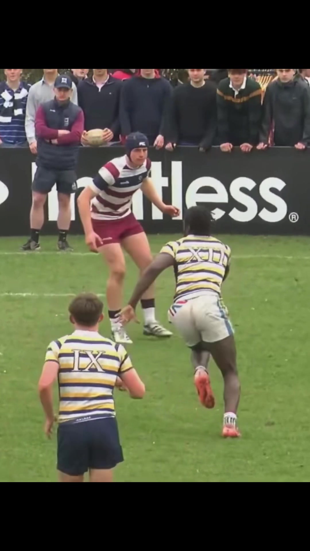 @young_rugby