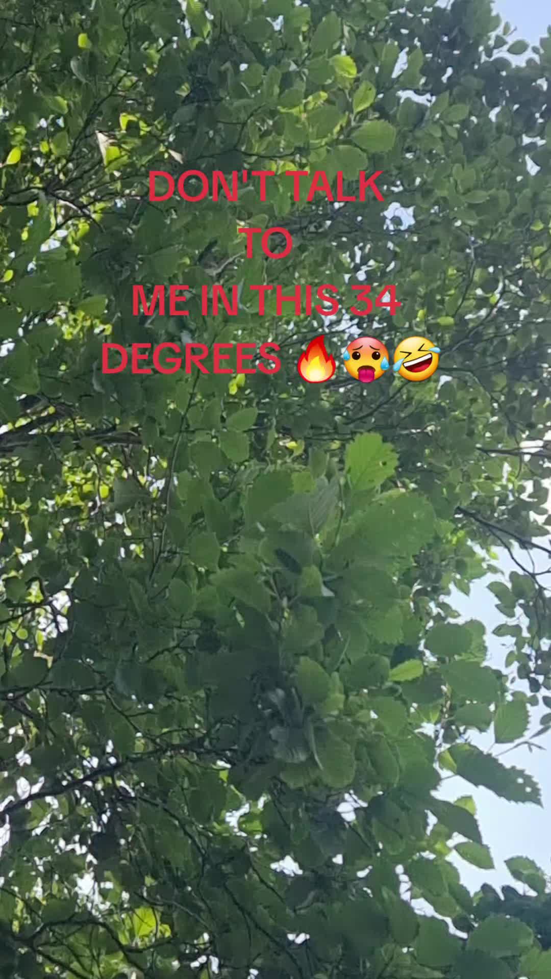 @Saba Zahim