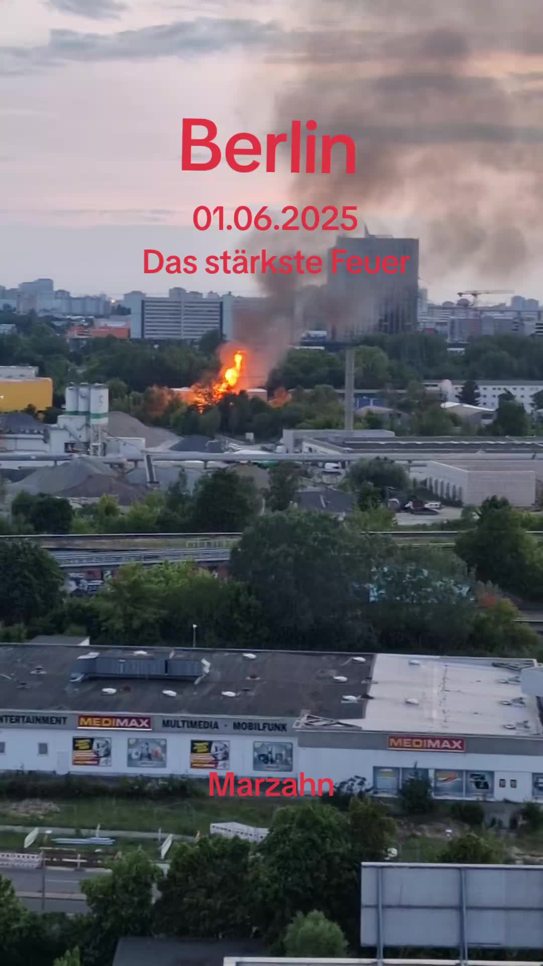 @Graue Papageien Jaco🔥