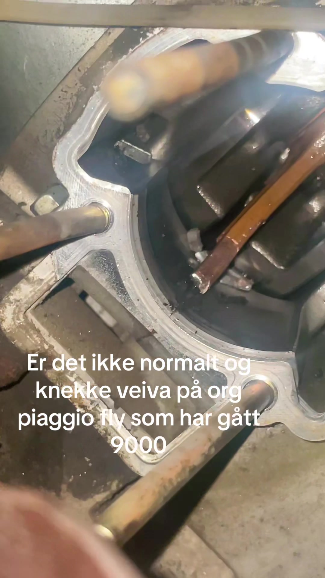 @Jarno Fjellestad