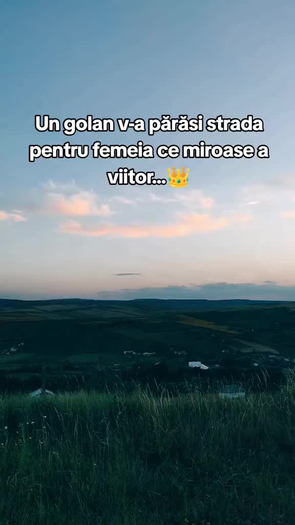 @12 ALM