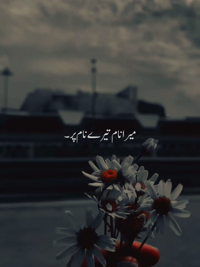 @𝙆𝙃𝘼𝙉 𝙓𝘼𝙀𝙎𝙏𝙄𝙓🎧