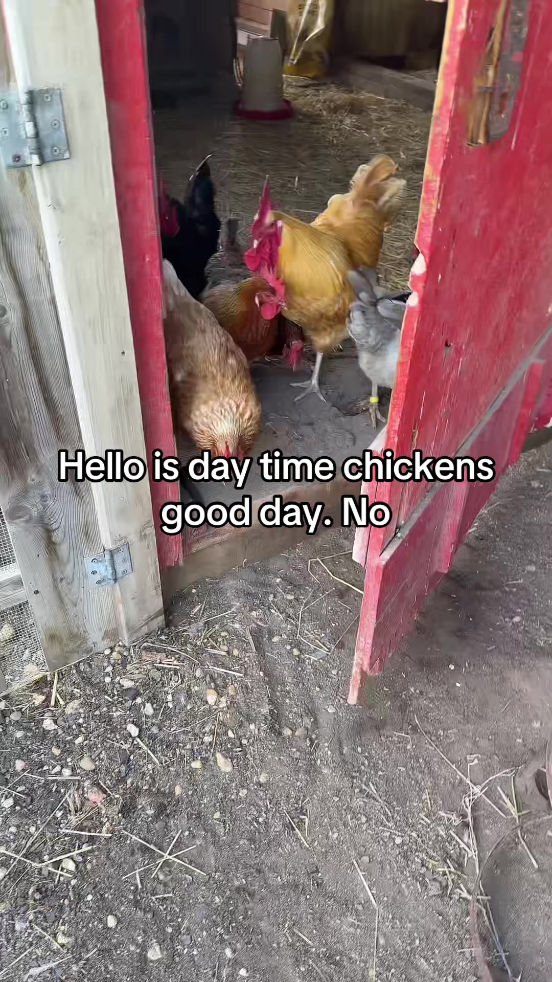 @No