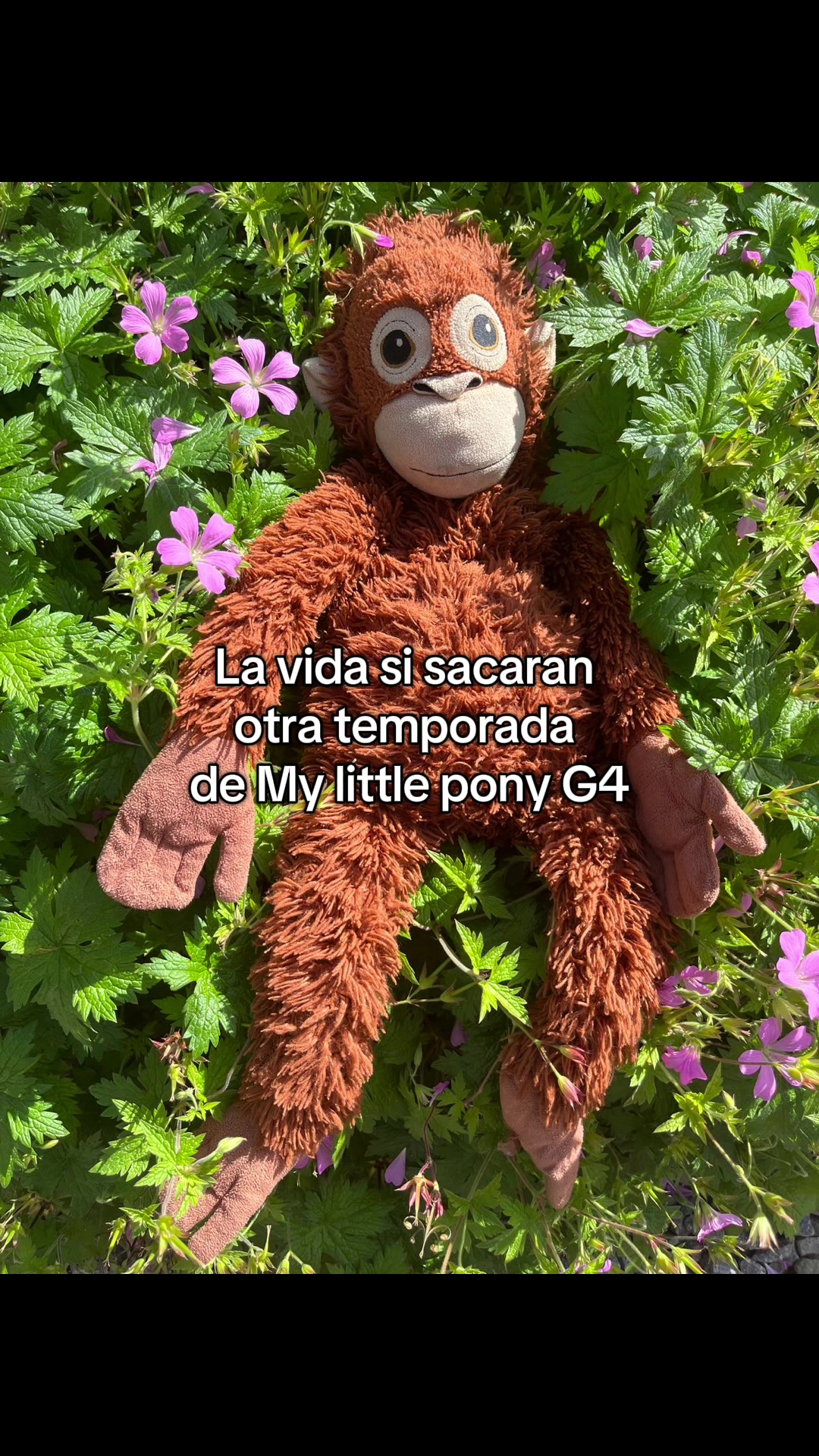 @minnie