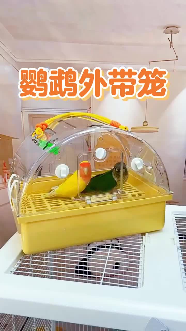 @chinabirds47