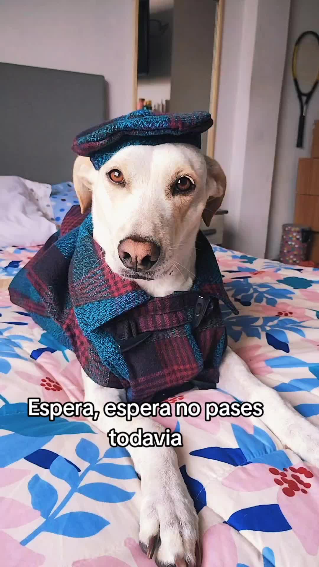@winnie ❤🦮