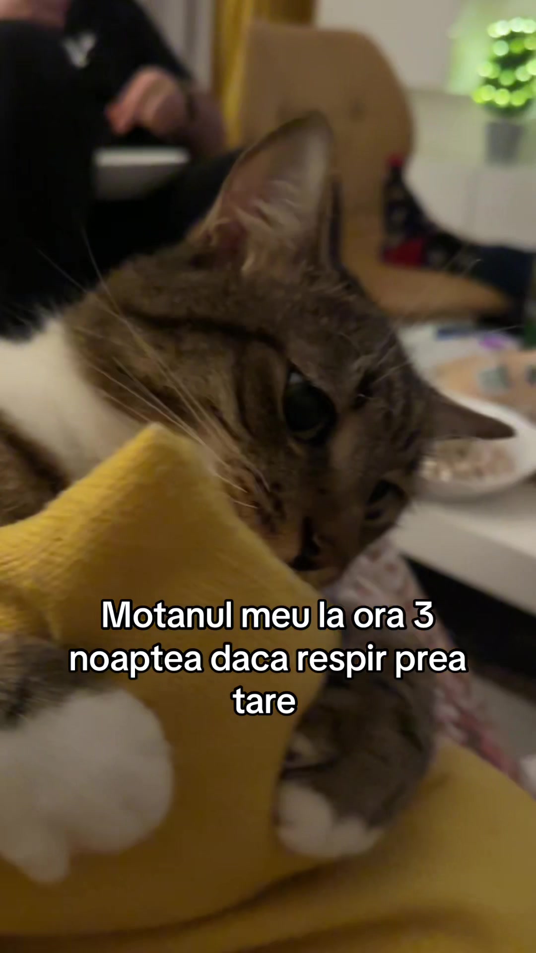 @Crets Anca