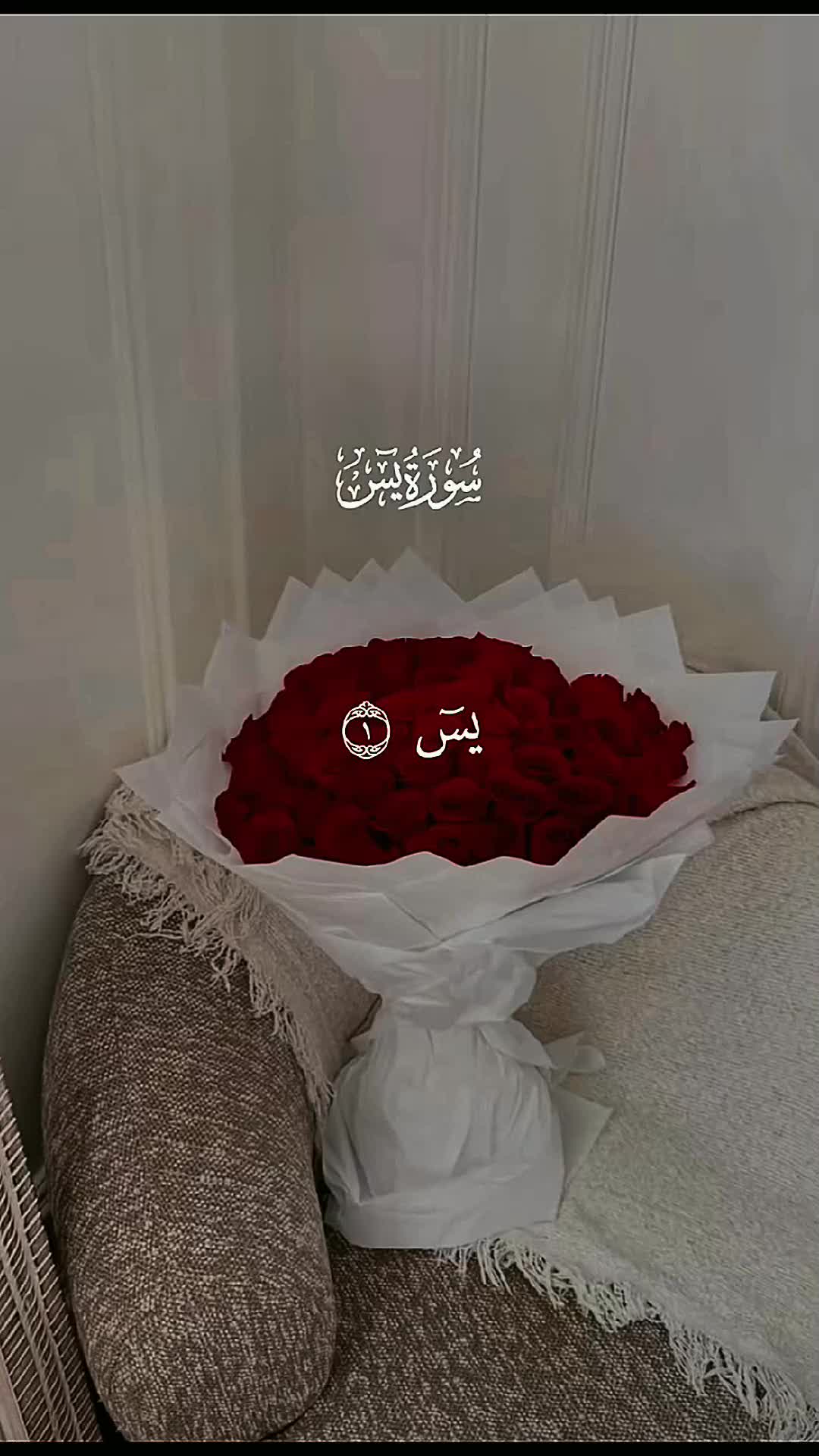 @butterfly🤍🥀